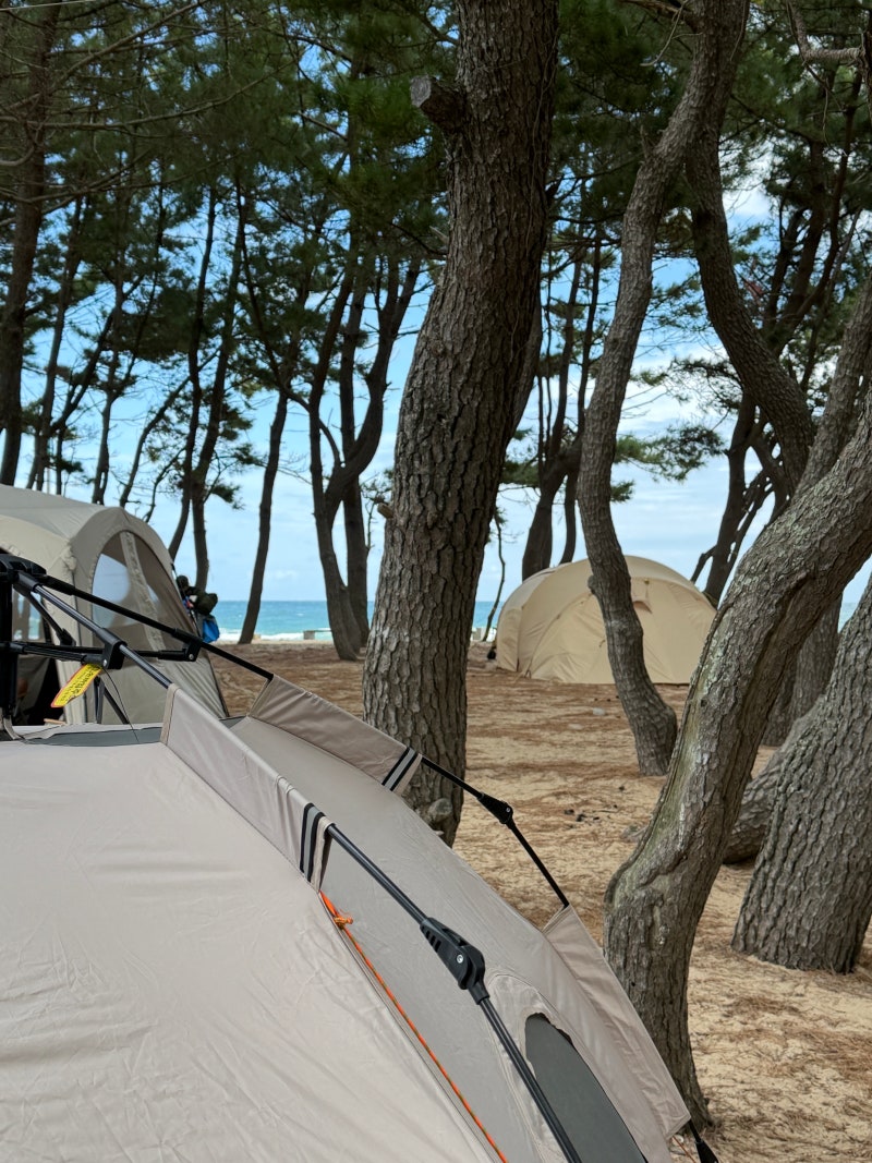 Recommended Campsite in Pohang Near Daegu: Hwajin Beach with Cooking Facilities