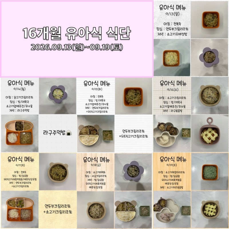 [유아식 기록 (26)-16개월 아기 유아식 메뉴] 16개월 셋째주 식단표 및 레시피