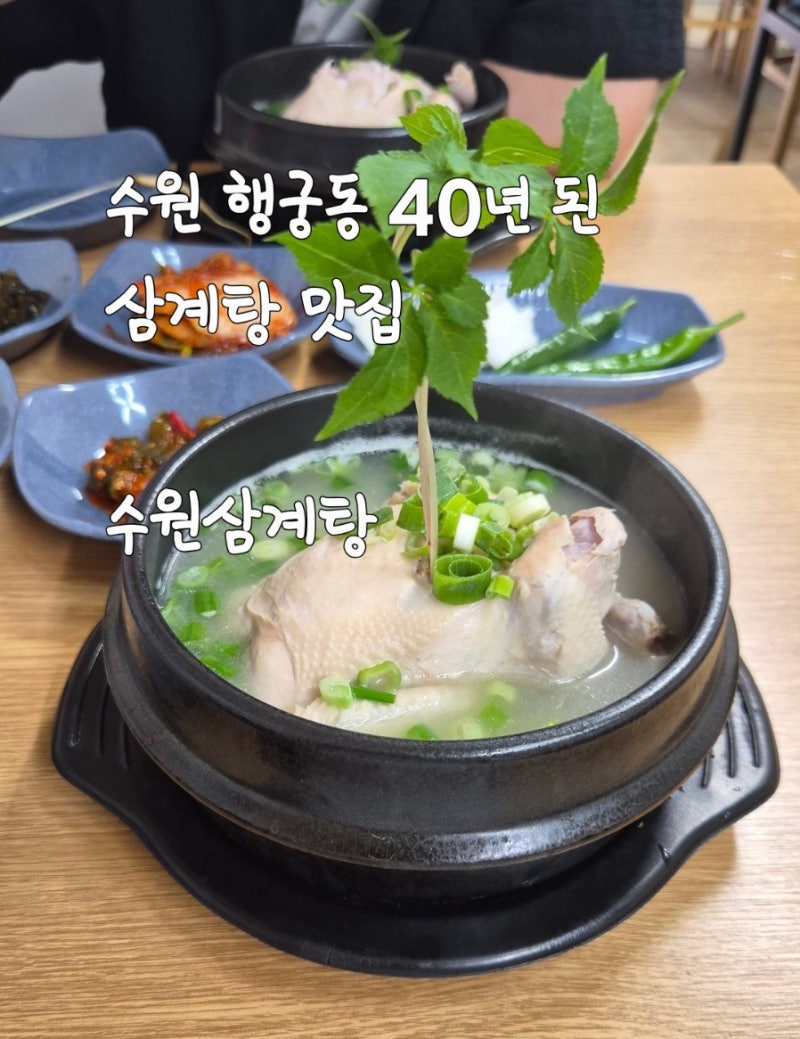 삼이 통째로 들어있는 수원 행궁동 40년 된 삼계탕 맛집 [수원삼계탕]
