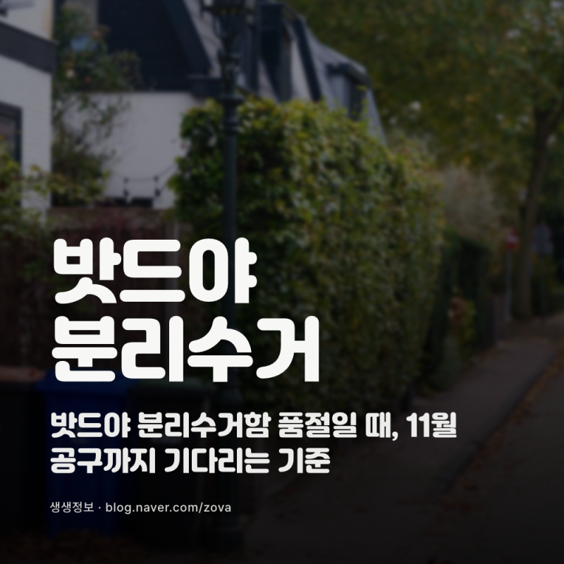밧드야 분리수거함 품절일 때, 11월 공구까지 기다리는 기준