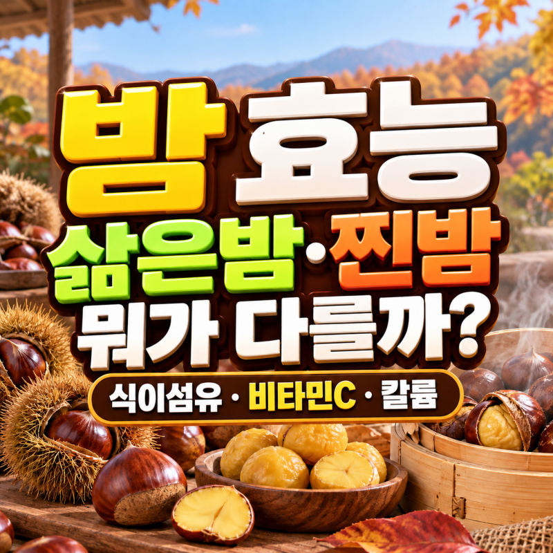 밤 효능과 부작용, 삶은밤·찐밤 효능 당뇨 다이어트에 괜찮을까?