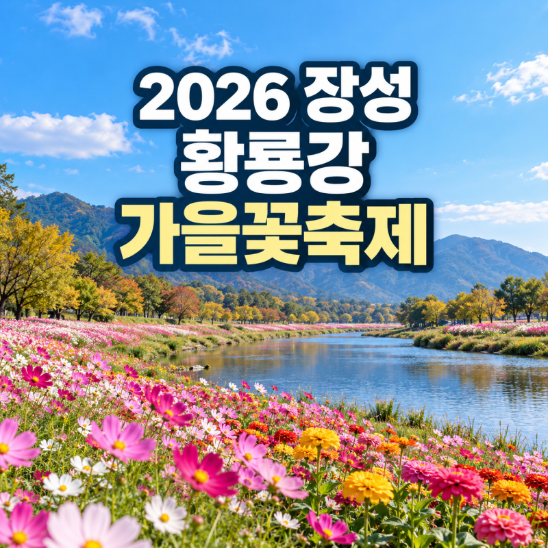 2026 장성 황룡강 가을꽃축제 아이와 가볼만한곳 한글날 연휴·불꽃놀이