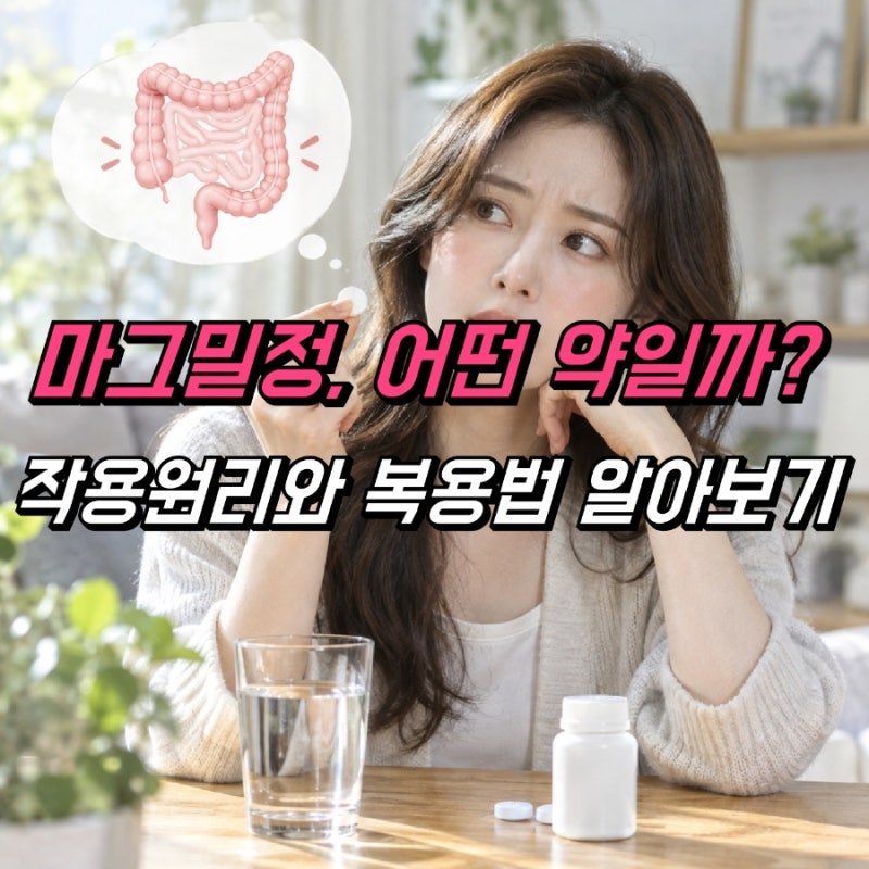 마그밀정 효과 복용법, 변비약 어떻게 먹을까