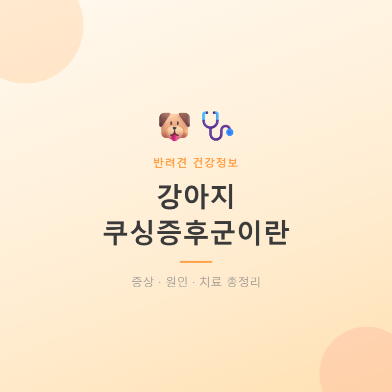 강아지 쿠싱증후군이란ㅣ증상·치료 총정리