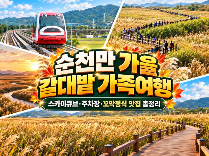 순천만 가을 갈대밭 가족여행｜스카이큐브·주차장·꼬막정식 맛집