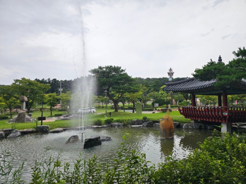 Must-Visit Places in Sangju: Sangju Museum, Agricultural Culture Center, and Hanok Small Library