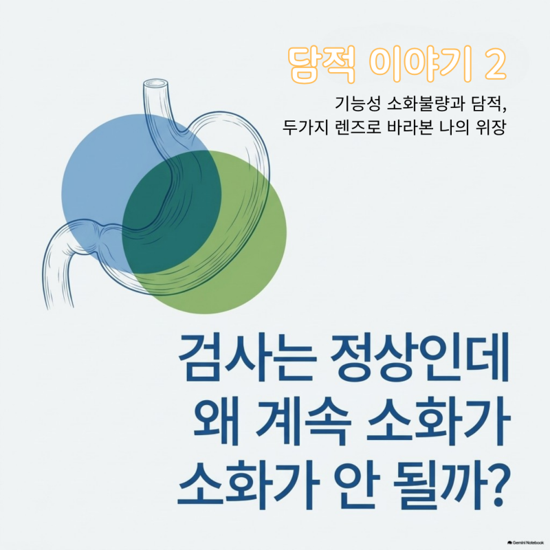담적과 기능성 소화불량, 비슷하지만 같지 않다