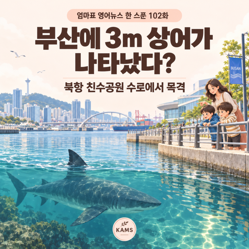 부산 상어 출몰, 상어 영어로? 북항 친수공원에 나타난 3m 상어｜엄마표 영어뉴스 한 스푼 102....