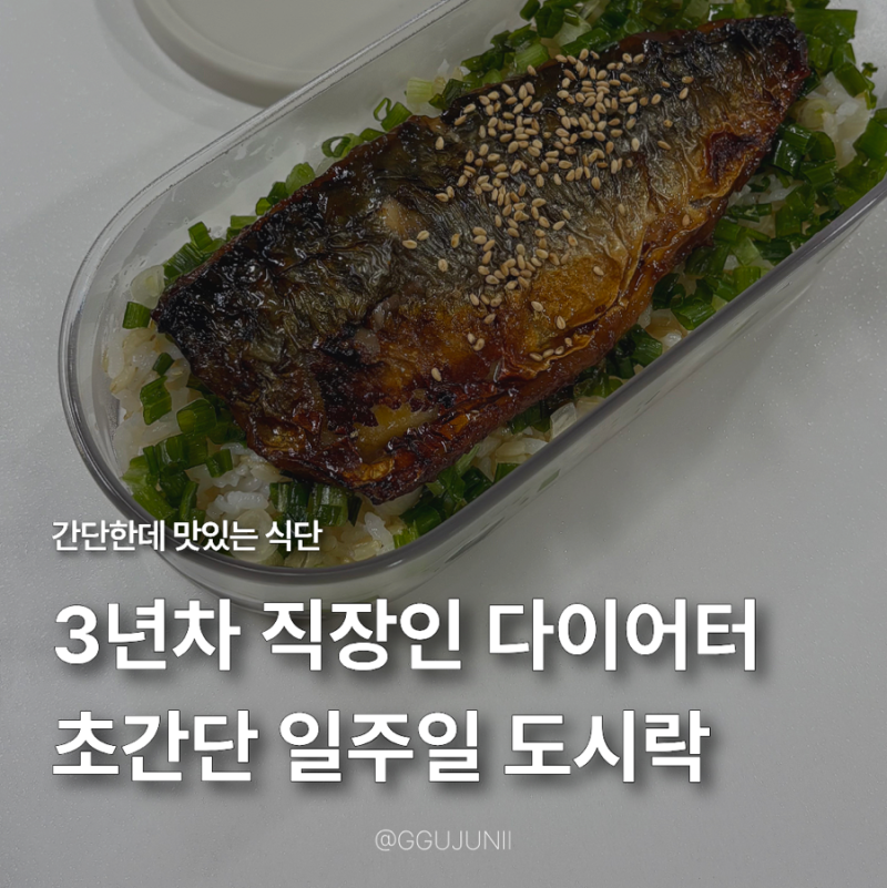 직장인 다이어트 도시락 싸기 일주일 식단 모음집