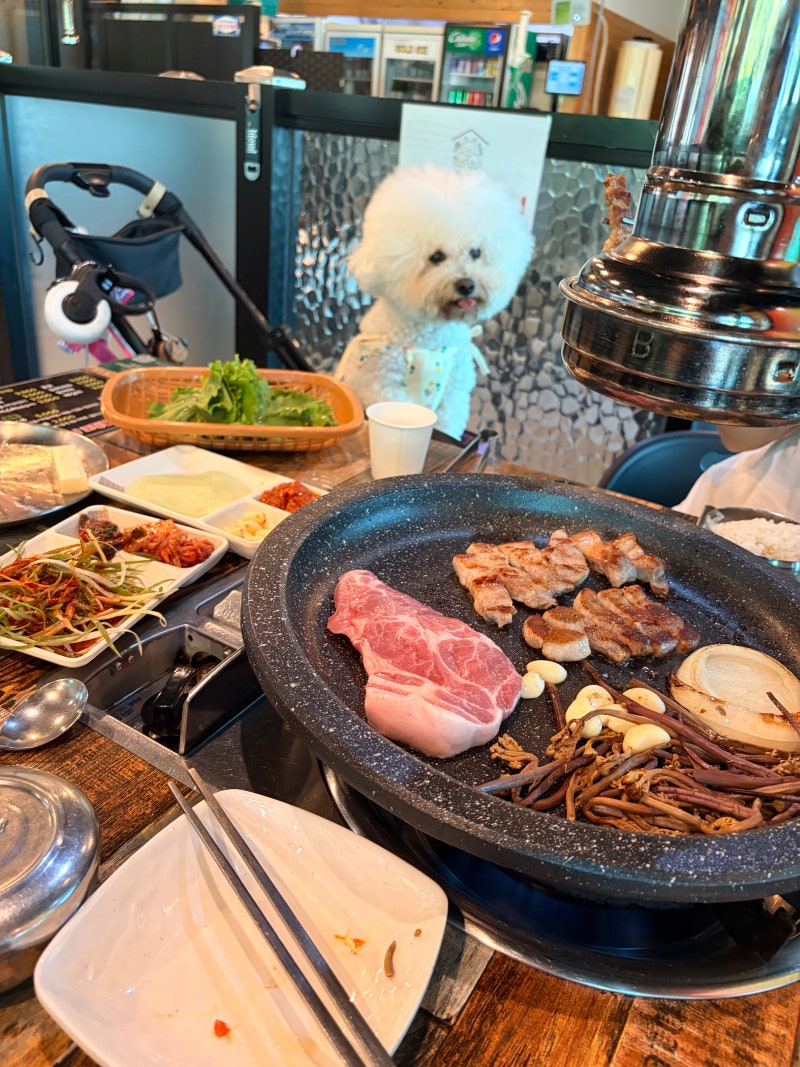 견애가 | 일산 애견동반식당 | 덕양구 애견동반맛집 | 고양애견동반식당 | 애견운동장 | 고기....