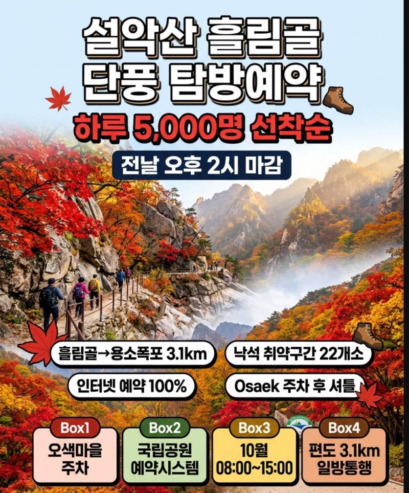 설악산 흘림골 단풍 10월 1일부터 탐방예약제인데, 하루 5천 명 정원 안에 들 수 있을까