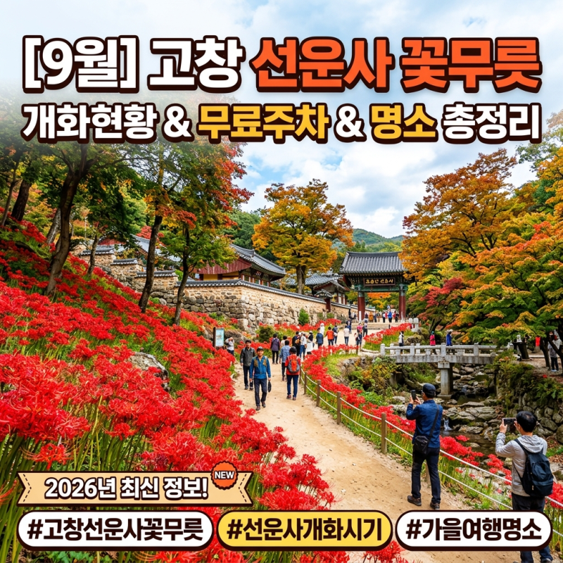 2026 고창 선운사 꽃무릇 완벽 가이드! 만개 시기, 무료 주차, 인생샷 명소 총정리