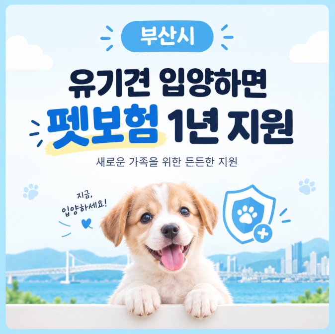 부산 유기견 입양하면 펫보험 1년 무상 지원