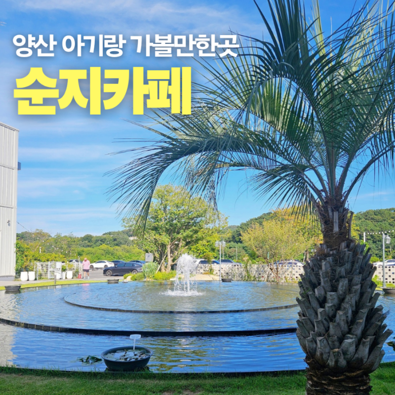 양산 통도사 근처 아기랑 가볼만한곳 순지카페 대형 베이커리 카페 수유실 후기