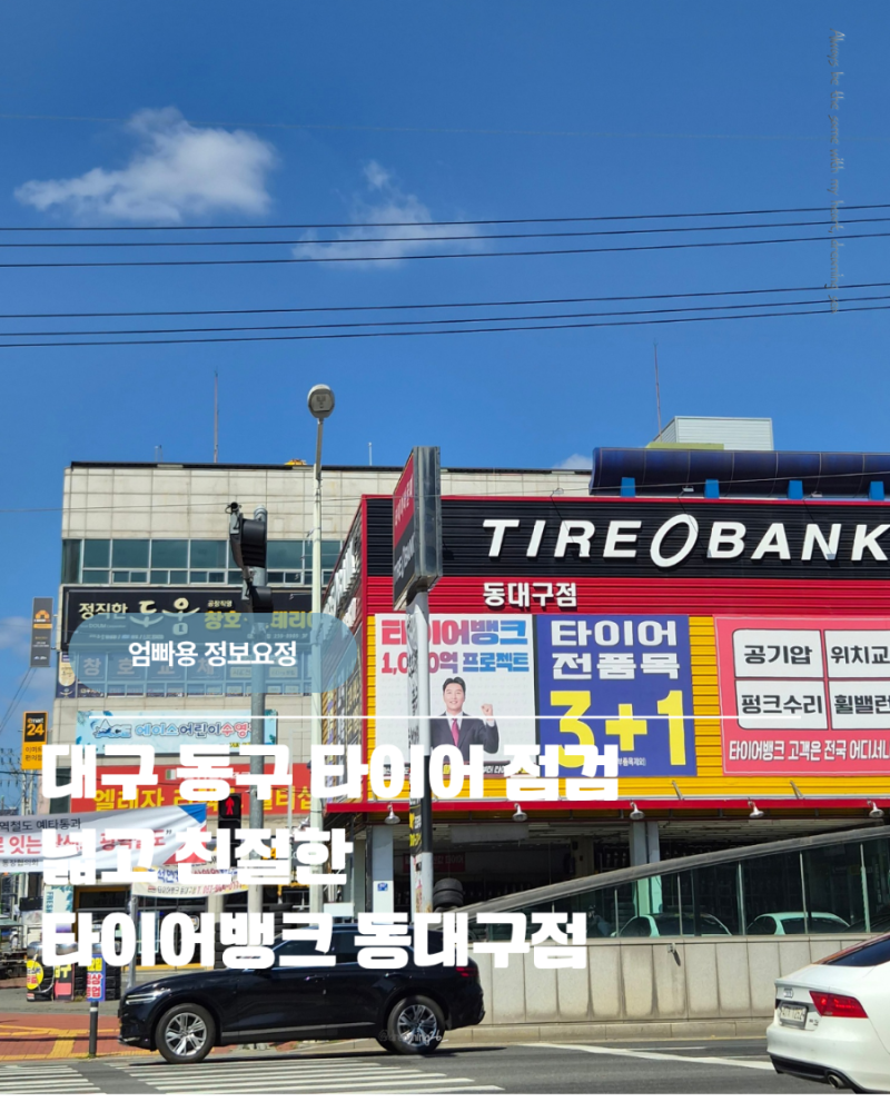 대구 타이어 성지 타이어뱅크 동대구점 정밀 점검 솔직 후기 (대구공기압점검부터 실내 소독....