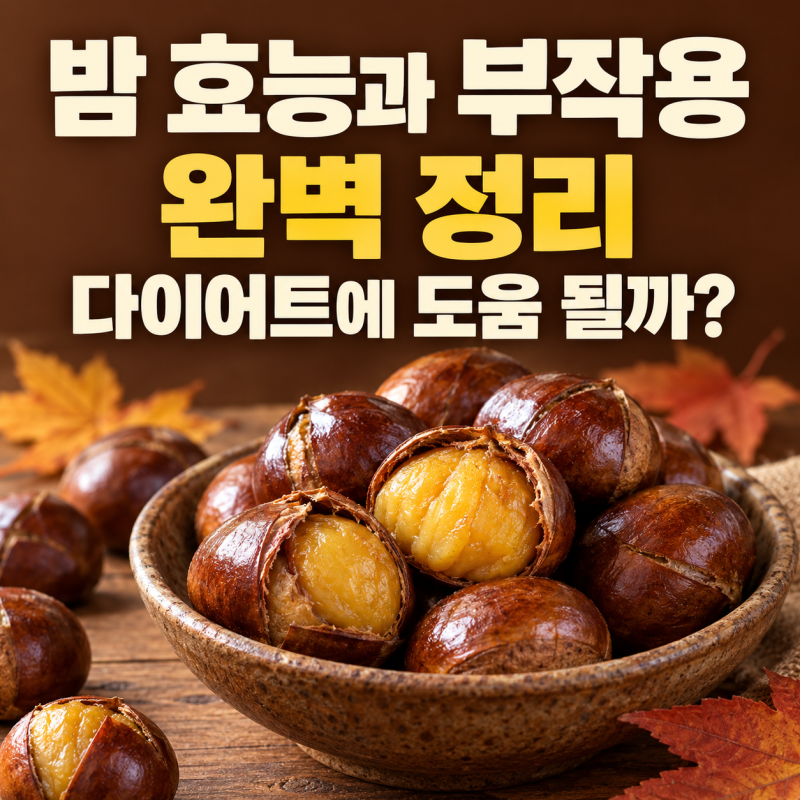 밤 효능과 부작용 완벽 정리: 다이어트에 정말 도움 될까?
