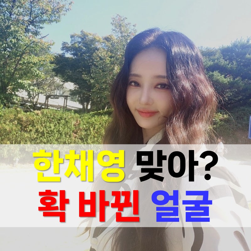 한채영 맞아? 확 바뀐 얼굴에 성형설 다시..