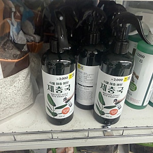 벌레 안 생기게 하려면 다이소 추천템 식물 살충제