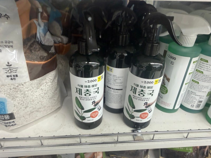 벌레 안 생기게 하려면 다이소 추천템 식물 살충제