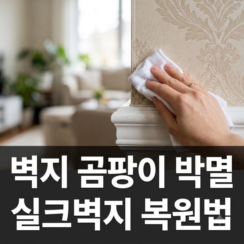 "닦아도 자꾸 번져요".. 실크벽지 곰팡이 제거 속까지 잡는 특급 비법