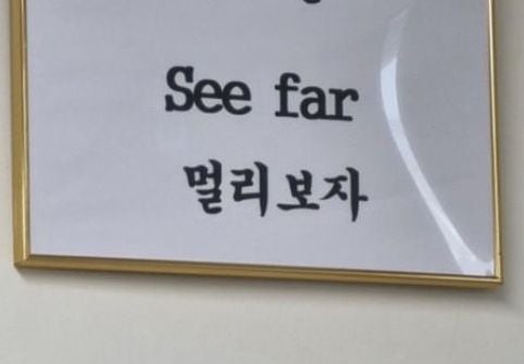 2026 명절 세일에 3년차 뜨개인 내가 사고 싶은 실과 도안