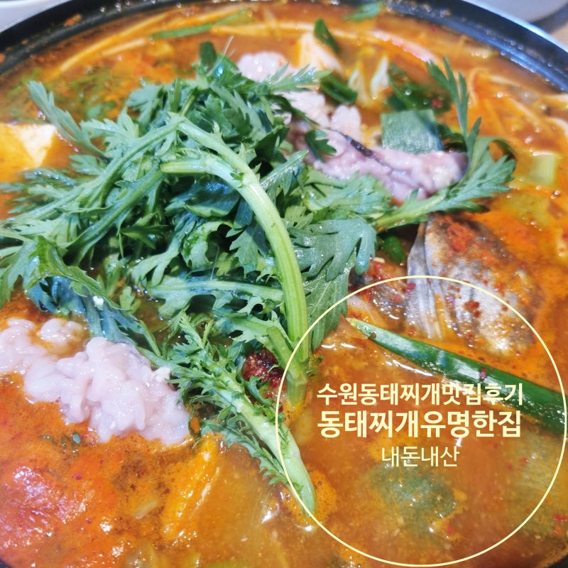 수원 맛집 동태찌개유명한집 30년 노포 솔직후기