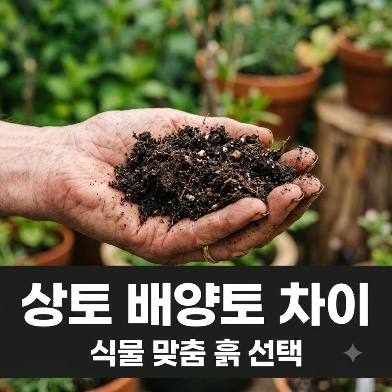 상토와 배양토 차이 모르고 사면 식물이 고생합니다: 흙 선택 완벽 가이드