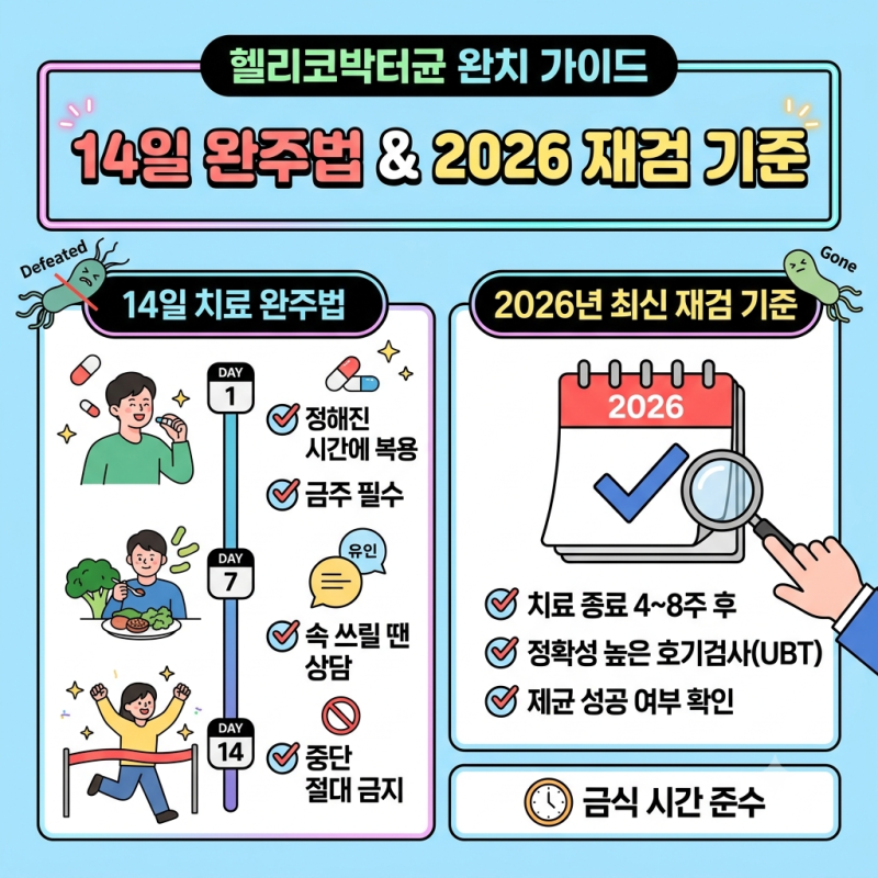 헬리코박터균 치료기간 14일 완주법과 2026 재검 기준
