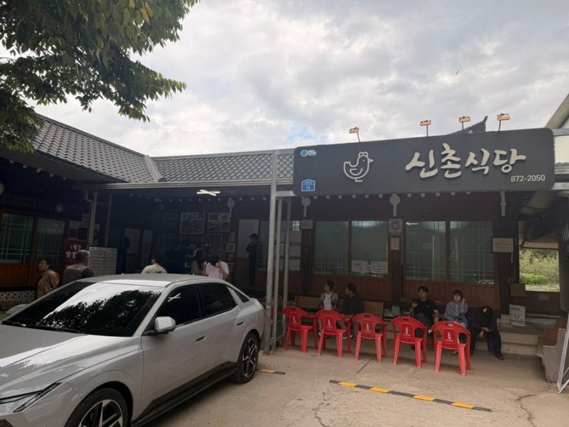 청송 맛집 신촌식당｜닭불고기·닭백숙·닭날개 한 번에 먹어본 후기