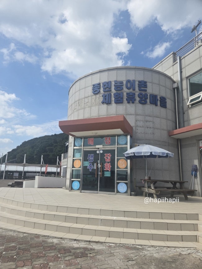 대부도 갯벌 해루질 | 종현농어촌체험 바지락 조개 캐고 해감까지