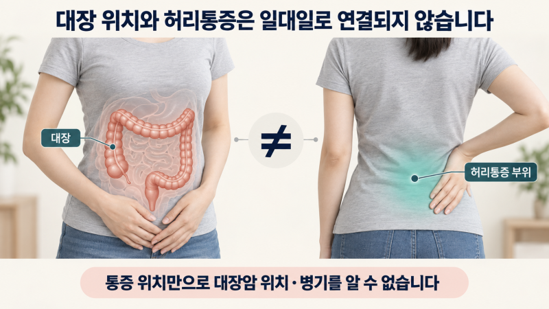 대장암 증상 허리통증 위치와 반드시 확인해야 할 동반 변화