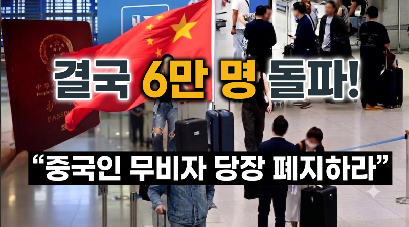 ️ ‘중국인 무비자 폐지’ 청원 6만 명 돌파: 주요 쟁점과 향후 절차 총정리