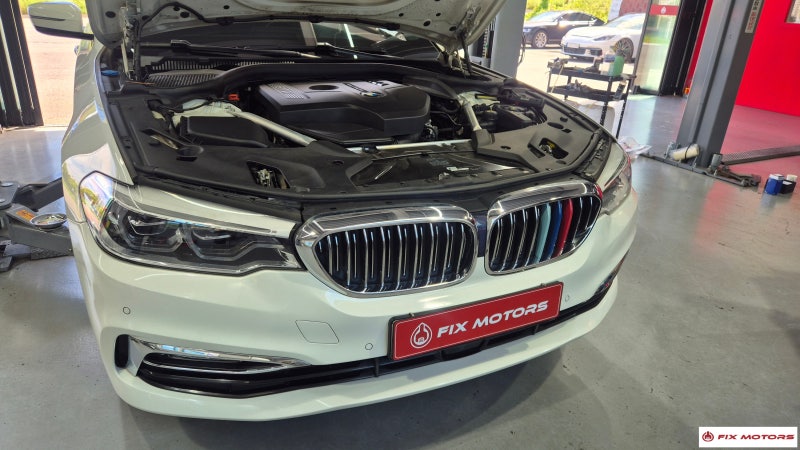 BMW G30 530i 냉각수 누수 해결! 경고등 점등부터 오일필터 하우징·상부호스 교환 정비 후기 | ....