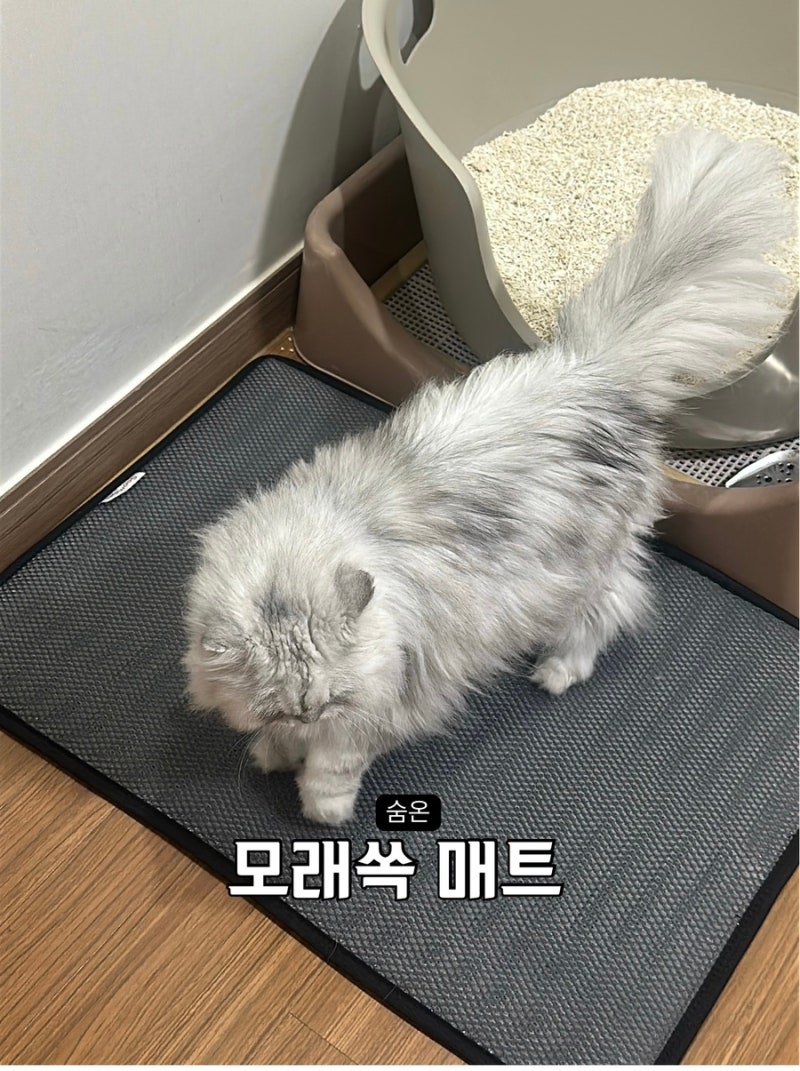 고양이 화장실 매트 추천 사막화방지매트 숨온 모래쏙 매트