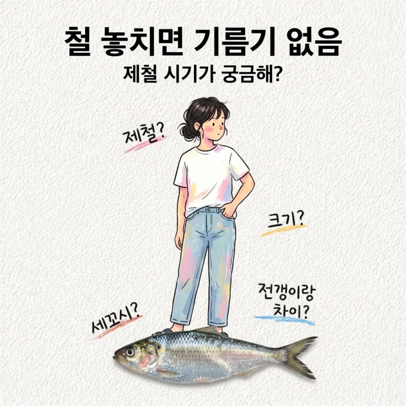 철 놓치면 기름기 없음 전어 제철 시기 철 기간 크기 세꼬시 통전어 전갱이 차이