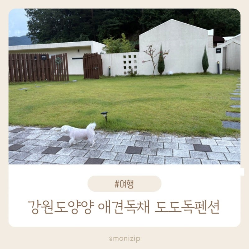 강원도 양양 애견 독채펜션 | 도도독펜션