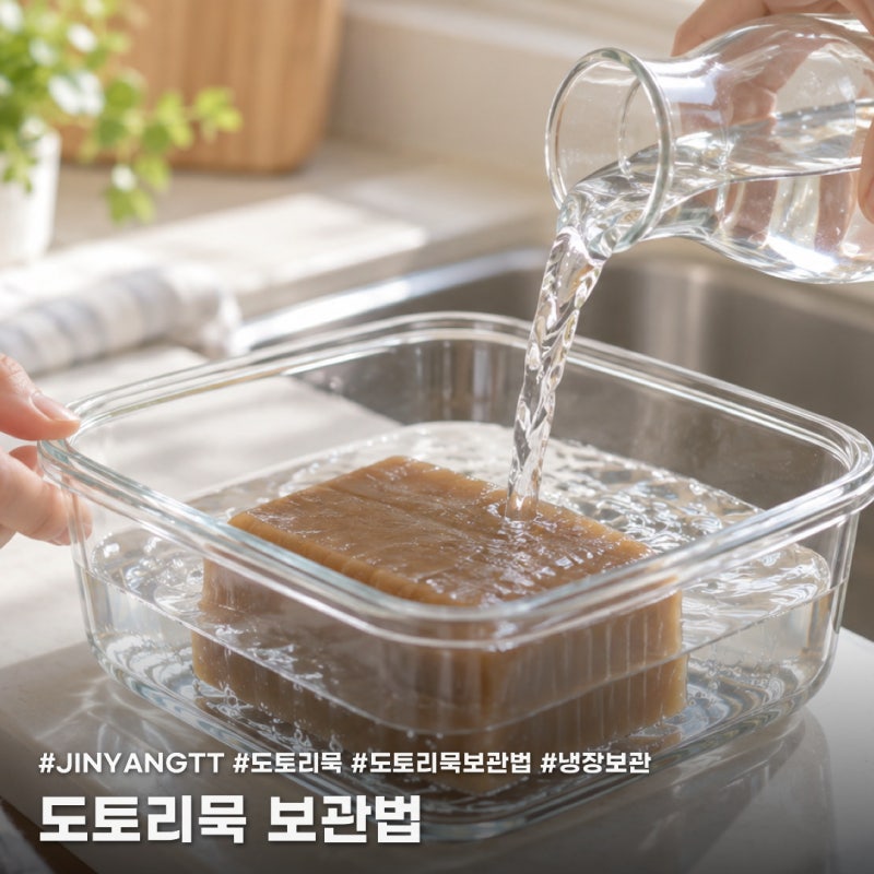 도토리묵 보관법, 무조건 물에 담그는 게 상책일까요?