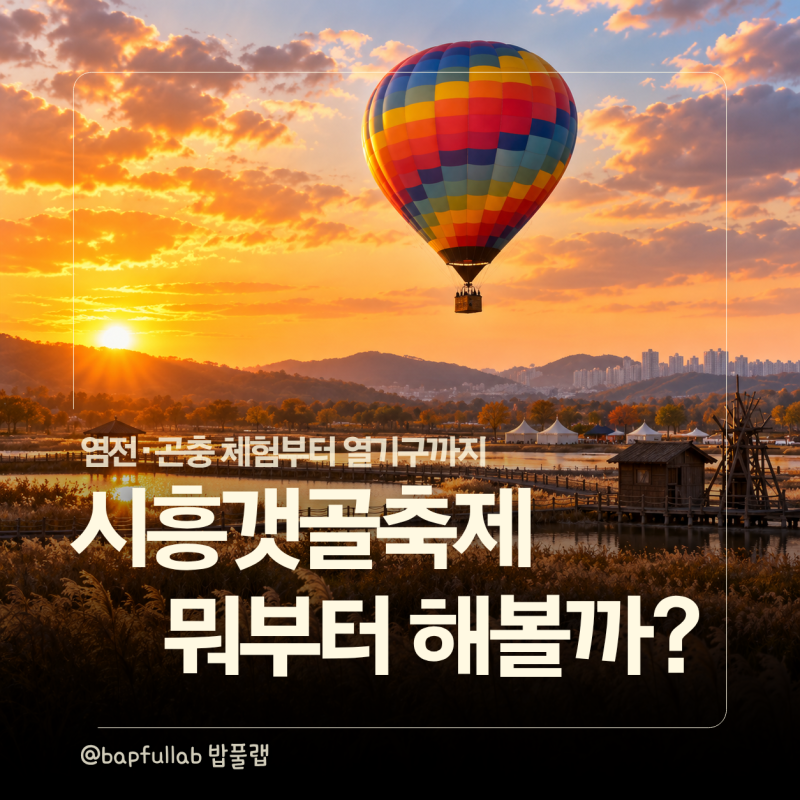 2026 시흥갯골축제 주차 셔틀 어떻게 갈까? 아이 체험 열기구 예약까지