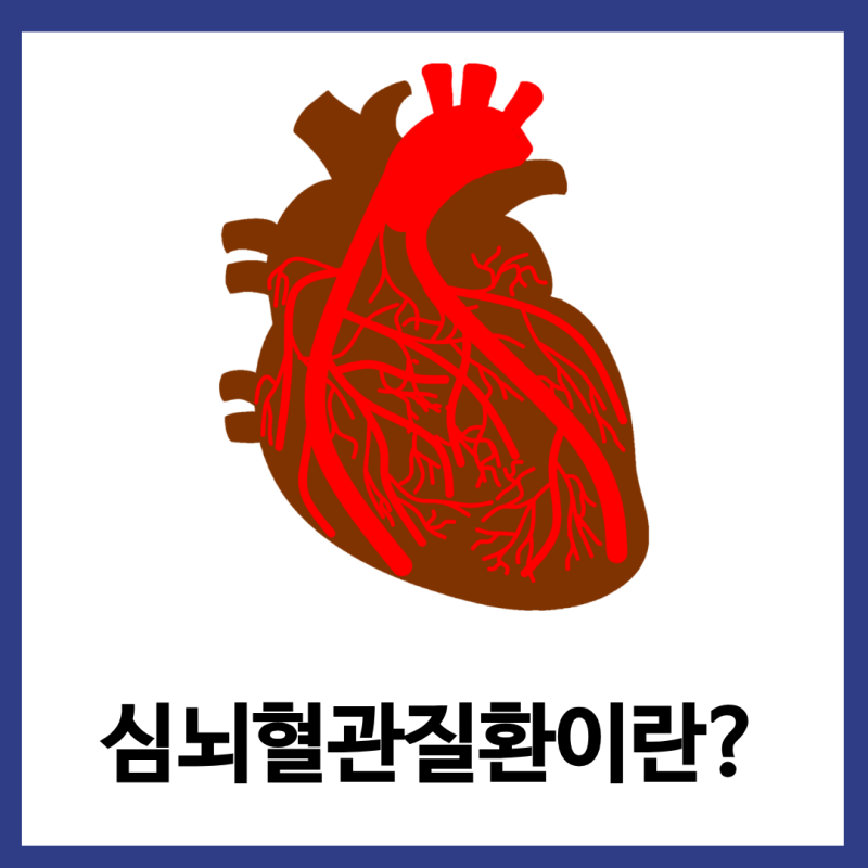 심뇌혈관질환, 정확히 무엇일까? 예방법은?