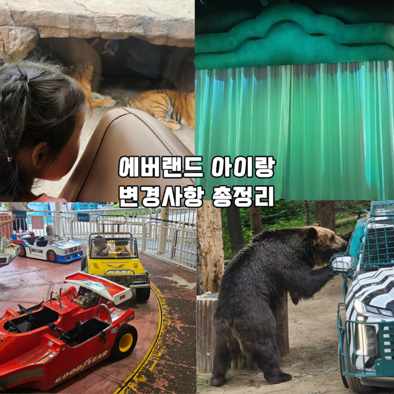 아이랑 에버랜드 최신 변경사항 | 윙즈오브메모리·스마트줄서기·와일드 사바나·요금인상·....