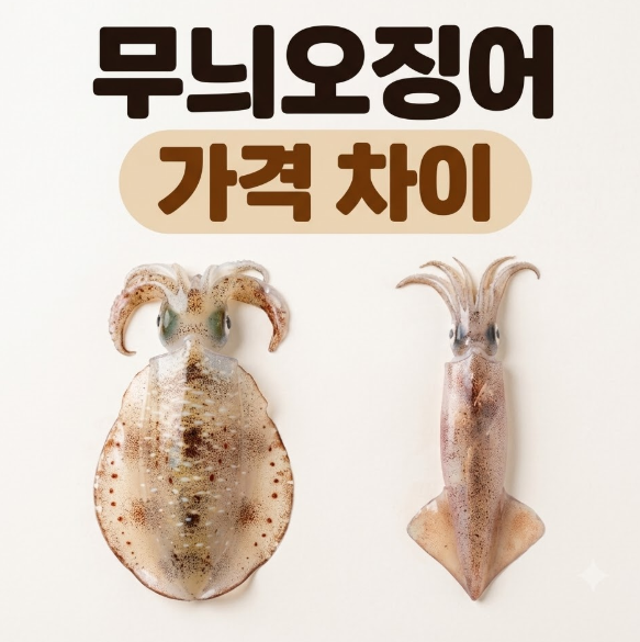 오징어 무늬오징어 가격 차이 왜 날까? 종류와 맛·식감