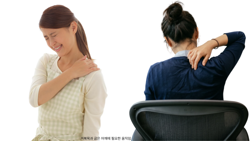 필라테스 자세교정 원리｜거북목과 굽은 어깨에 필요한 움직임