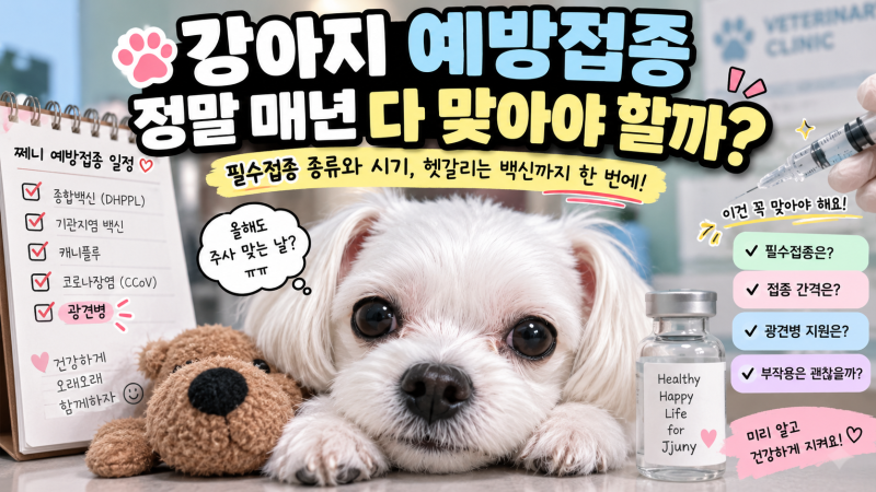 강아지 필수 예방접종 종류와 시기, 매년 전부 맞아야 할까?