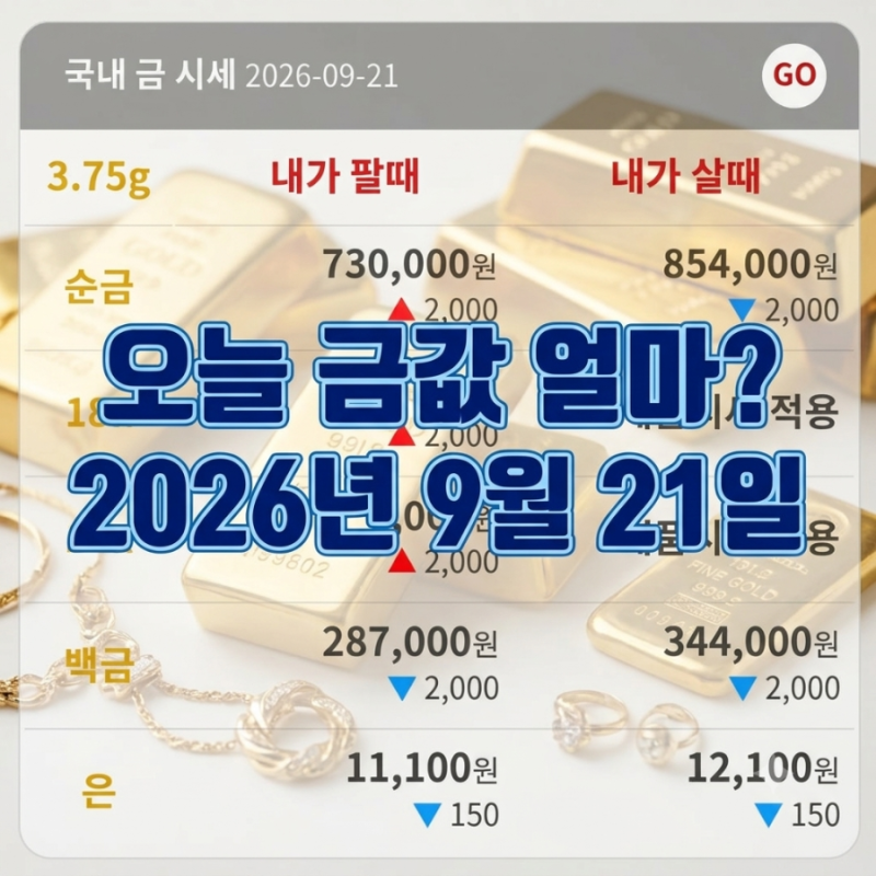 오늘 금값 얼마? 9월 21일 순금·18K·14K 금시세 총정리