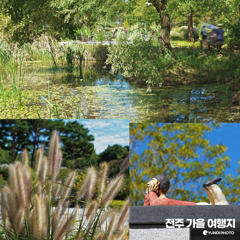 전주 아이랑 가볼만한곳 한국도로공사 전주수목원 가을 여행지 입장료 카페