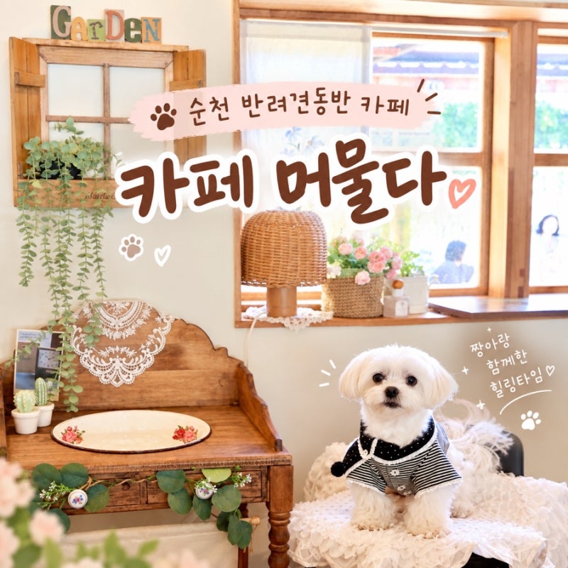 순천 반려견동반 카페 추천 카페 머물다 베이커리 가득