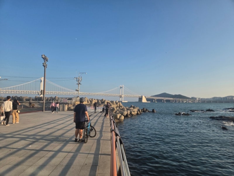 광안리 갈매기와 물고기 보는 법! GS25 앞 무료 발 씻는 곳부터 스타벅스 근처 방파제 산책까....