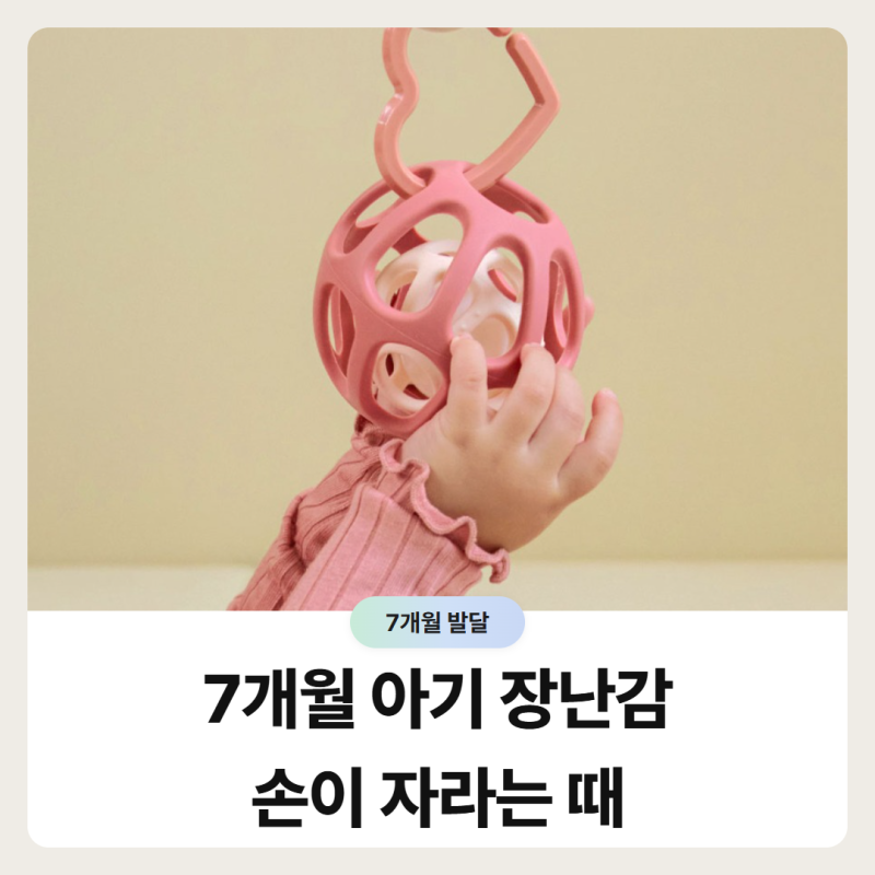7개월 아기 장난감, 지금 뭐가 자라고 있나요? 소근육 장난감