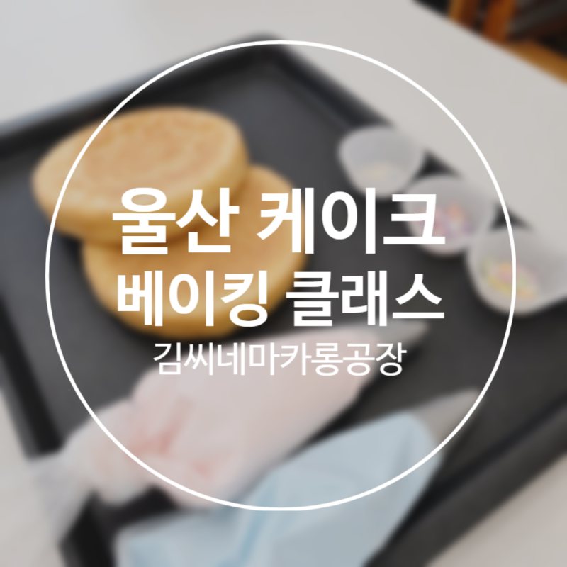 울산 케이크 베이킹클래스 친구 가족과 즐기는 원데이클래스 김씨네마카롱공장