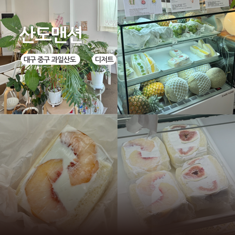 대구 과일산도 맛집 산도맨션 반월당 동성로 디저트 카페